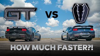 2024 Ford Mustang GT vs Dark Horse Mustang  Stock Comparison  Dig and Roll Drag Race [upl. by Nlocnil]