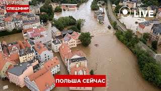 ⚡️Польшу заливает дождями Экстренное обращение руководства страны ОНЛАЙН  НовиниLIVE [upl. by Bartko]