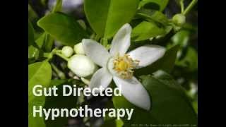 Gut Directed Hypnotherapy [upl. by Dodi]