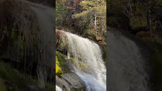 Waterfall ASMR nature forest waterfall asmr naturesounds [upl. by Tolland]