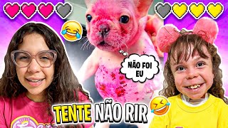 REAGINDO A VIDEOS DE CACHORRINHOS ENGRAÇADADO  Teve um muito engraçado [upl. by Shiau63]