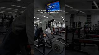 chest supported row vs free standing row gym fitness viralvideo [upl. by Ajim]