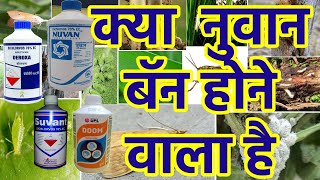 Nuvan InsecticideDichlorvas 76 ecInsecticide India Private Limited [upl. by Boleslaw]