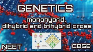 Monohybrid Dihybrid Trihybrid Cross  GENETICS  CBSENEET [upl. by Nnylaf298]