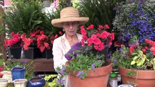 How to Plant a Container Garden [upl. by Swayder]