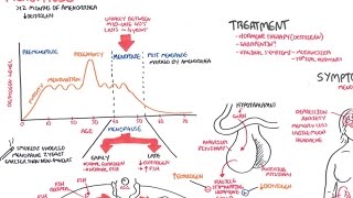 Comprenda La Fisiología De La Menopausia Síntomas Y Tratamiento [upl. by Rubio]