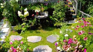 Cozy Tiny Garden in the Summer  Plants flowers Garden Tour garden gardening plants flowers new [upl. by Frohman]