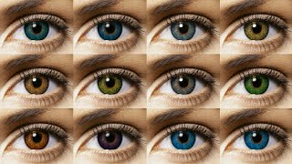 Freshlook Colorblends All 12 Colors Contact Lens Review [upl. by Nani132]