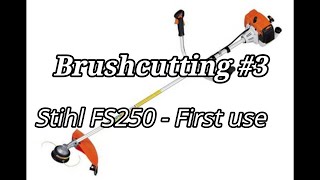 Brushcutting 3  Stihl FS250 [upl. by Ehsom733]