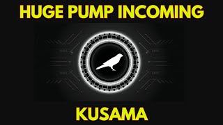 Why KUSAMA KSM will Skyrocket Soon [upl. by Namyl]