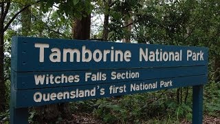 Yowie  Bigfoot Sighting Audio Report 22 at Mt Tamborine Queensland [upl. by Cutcliffe799]