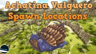 Where to find Achatinas on Valguero Ark Survival Evolved [upl. by Anairb]