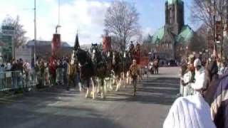 Barrys Hallamore Clydesdale Horses in Parade [upl. by Harts565]