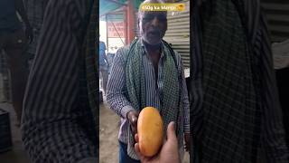 mango market Malihabad Rahber Vishal fruit company Malihabad Lucknow India lets see mango weight [upl. by Allissa]