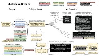 Chickenpox Shingles mechanism of diseases [upl. by Landmeier]