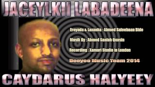 CAYDARUS HALYEEY HEES CUSUB  JACEYLKII LABADEENA  2014 [upl. by Redlac]