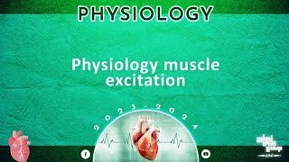 L3 Muscle excitation contraction coupling Physiology [upl. by Clarita]