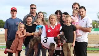 We had two semifinals of the Group 3 Brian Johnstone series last night 730m greyhounds Race South [upl. by Chiaki]