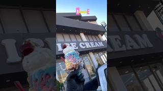 Best Icecream in the world subscribeicecream youtubeshorts youtube tiktok trending [upl. by Aneehs]