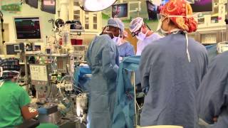 What does a pediatric perfusionist do How do I become a perfusionist [upl. by Zsuedat807]