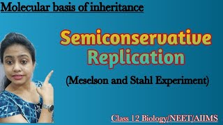 Semiconservative Replication of DNAMolecular basis of Inheritance amp VariationClass 12 BiologyNEET [upl. by Gona752]