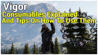 Consumables Explained and Tips On How To Us Them  Vigor [upl. by Noj]