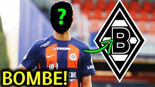 🚨Bombastische Transfers Wer sind Gladbachs neue Ziele [upl. by Arreyt]