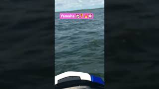 Riding jet ski Yamaha championpalomero viralvideo viralshort [upl. by Hayifas]