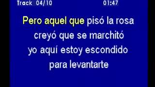 adolecentes orquesta virgen karaoke [upl. by Knowlton]