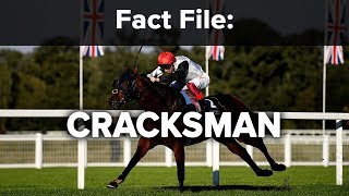 Fact File Cracksman [upl. by Iccir]