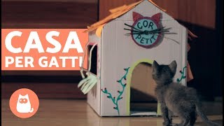 Casa per gatti in CARTONE fai da te 🏠🐱 Come costruire una casa per gatti [upl. by Samaria430]