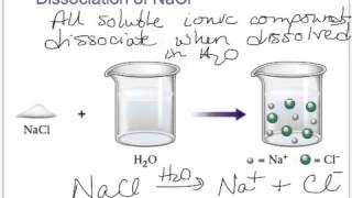 Solvation Like Dissolves Like [upl. by Pamelina]