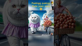 Ayah kucing posheng ✌😹 kucing kucinglucu lucu [upl. by Waechter]