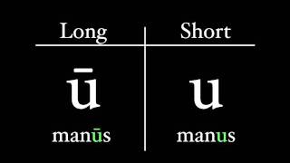 The Latin Alphabet  Vowel Pronunciation [upl. by Bertha]