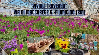 Vivaio Traverso Via di Maccarese 5Fiumicino Rm💐🌻🌹🌷🌼🌾💐 [upl. by Enilraep]