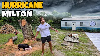 Hurricane Milton Hit My Farm [upl. by Yonita]