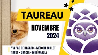 ♉️ TAUREAU • NOVEMBRE 2024 • Y a pas de hasard 😉 • LE TAROSCOPE DU MOIS [upl. by Fasto66]