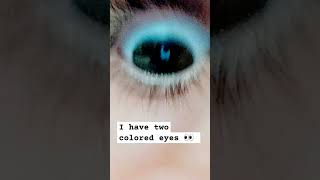 I have two colored eyes 👀 [upl. by Netsrak]