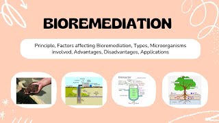 Bioremediation  Environmental microbiology [upl. by Saibot]