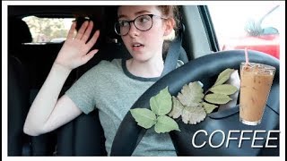 VLOG  coffee rant drive with me  poisonous plants [upl. by Hoashis]