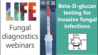 BetaDglucan webinar  QampA fungal diagnostics  invasive Aspergillus Pneumocystis Candida [upl. by Amara]