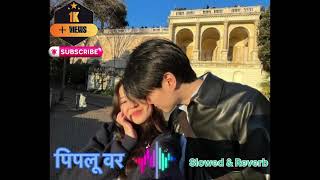 पिपलू वर 💝 Slow and reverb song 🥰vocalsamikshya adhikari  Naresh khati 😘sabaile support maya grdnu [upl. by Imas408]