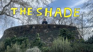 Rex Orange County  THE SHADE Music Video V1 [upl. by Ellissa457]