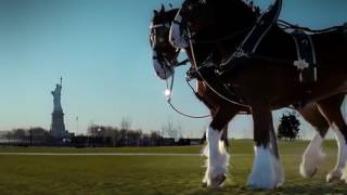 Budweiser Clydesdales 911 Tribute Ad Super Bowl 2011 [upl. by Aneerak75]