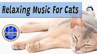 🔵 Relaxing Music For Cats OUR FAV 🐈 Tuesdays Blend  Relax Your Cat With Classical Guitar Music [upl. by Eeb653]