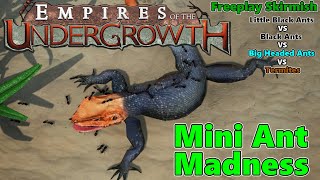 MINI ANT MADNESS  Little Black Ant Freeplay Skirmish  Empires of the Undergrowth [upl. by Hplodnar83]