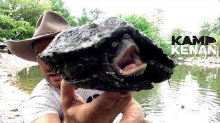 WHAT should you FEED MAP TURTLES [upl. by Danny]