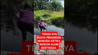 buayaviral buayabesar buayapemangsa buaya [upl. by Erminna]