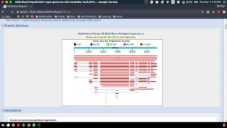 BLAST Tutorial  UMass BIO 283  Prof Markstein General Genetics [upl. by Wolpert]