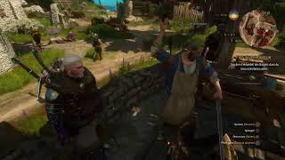 Lets Play The Witcher 3 Die Eroberung des Paradieses Folge 25 [upl. by Marigolda]